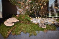 /album/onderlinge-tentoonstelling-2022/aankleding-jpg/